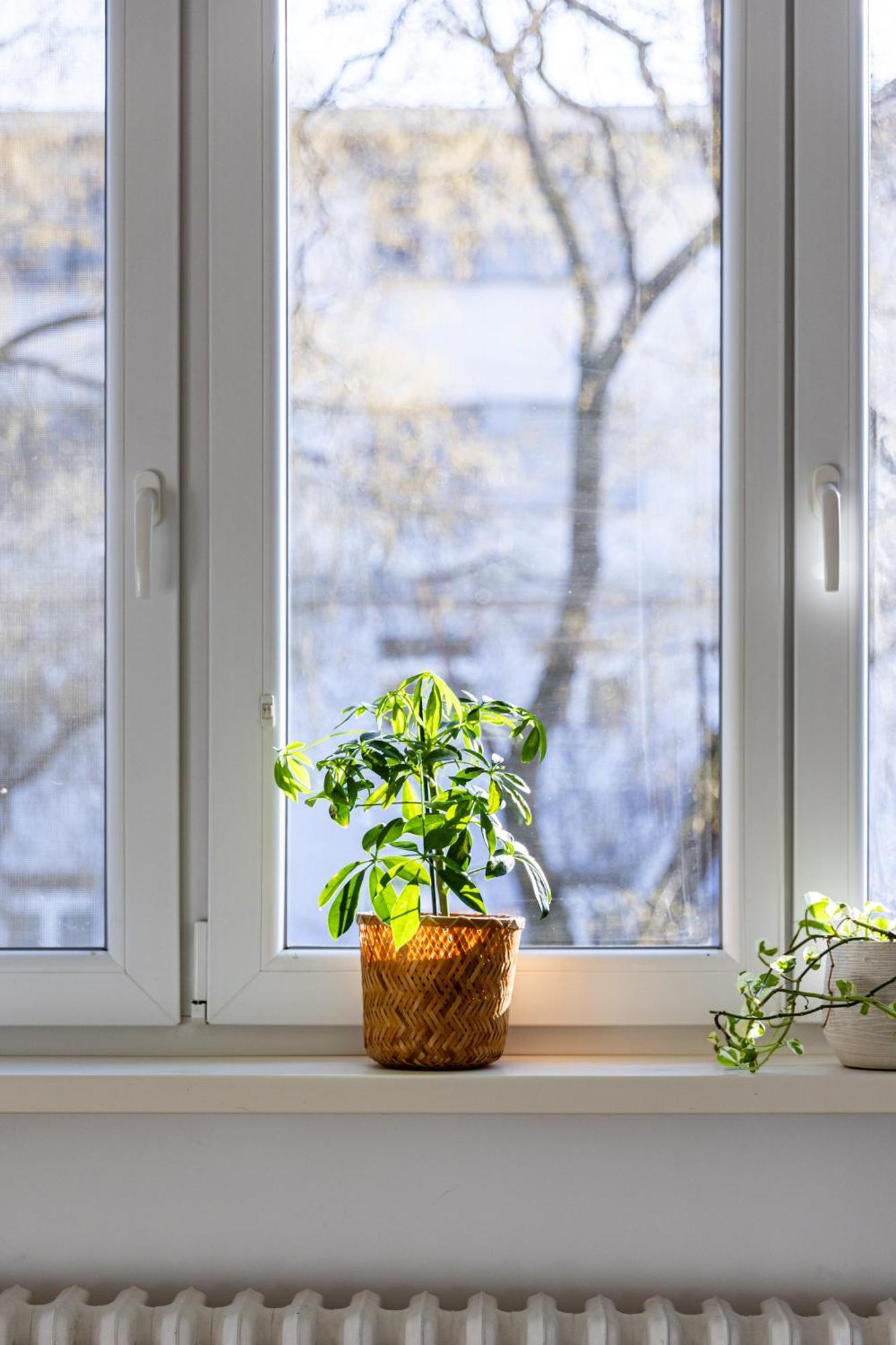 Comfort Retreat With Balcony * Bratislava
